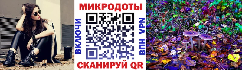 Псилоцибиновые грибы Psilocybine cubensis Ногинск