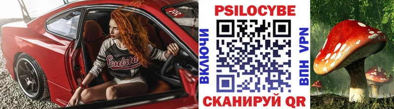 OMG ссылки  darknet какой сайт  Галлюциногенные грибы MAGIC MUSHROOMS  Ногинск 
